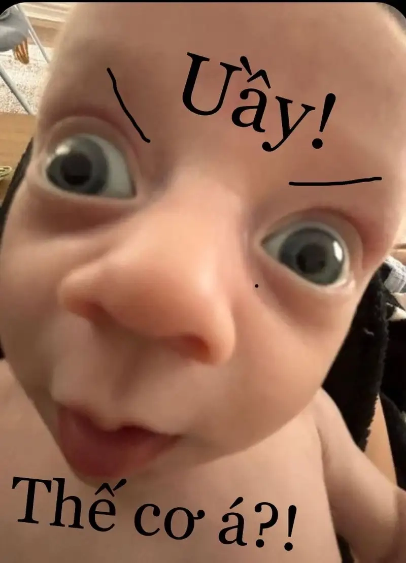 Tạo phong cách riêng nhờ ảnh meme avatar vô tri