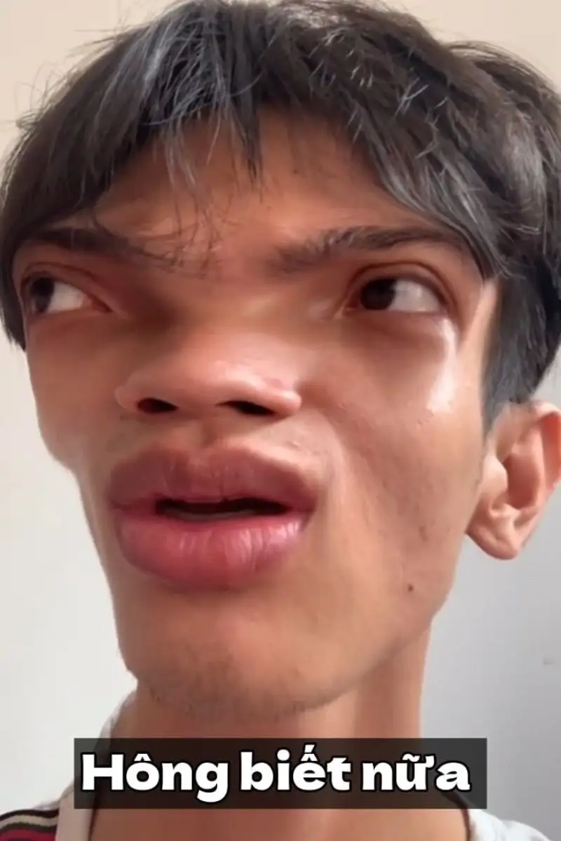 Trải nghiệm giải trí qua hình ảnh meme vô tri