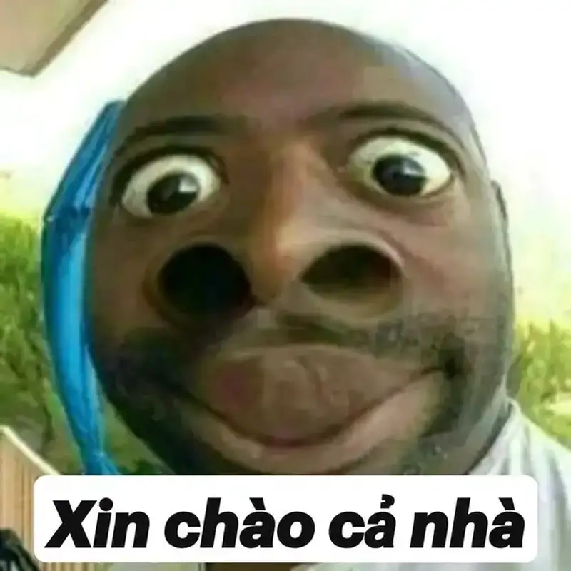 Chào meme hài hước làm ngày thêm vui tươi