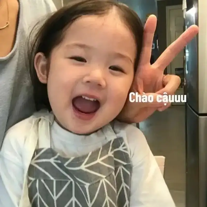 Meme xin chào cute làm tim bạn vui lên
