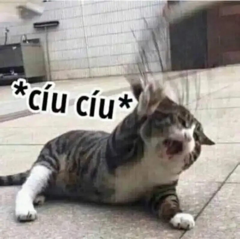 Xem meme xỉu vui nhộn meme té xỉu hài hước