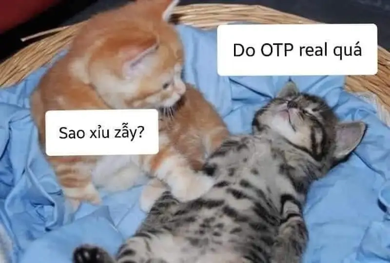 Cười bể bụng với meme xỉu xĩu ngang