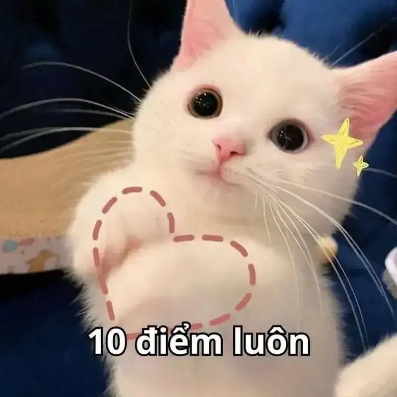 Lan tỏa năng lượng với meme yêu đời tích cực