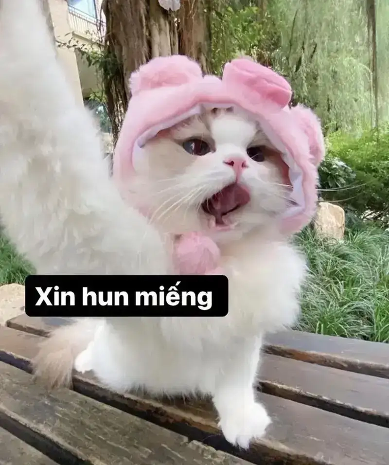 Cười thật tươi cùng meme yêu đời tích cực đáng yêu