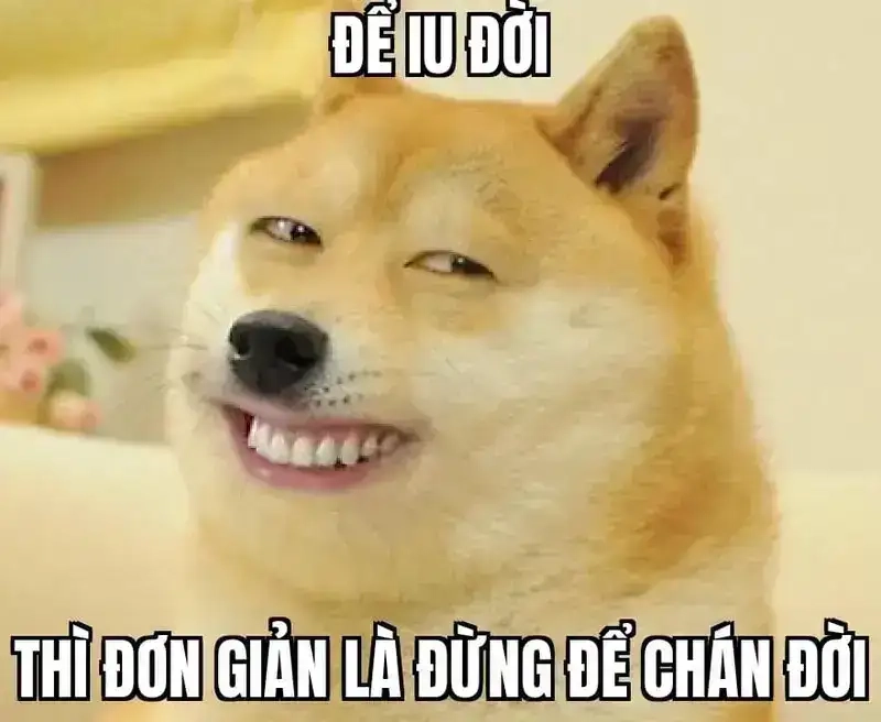 Meme yêu đời tích cực giúp bạn vui vẻ mỗi ngày