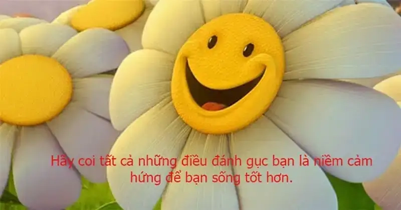Hãy tận hưởng meme yêu đời tích cực lan tỏa niềm vui