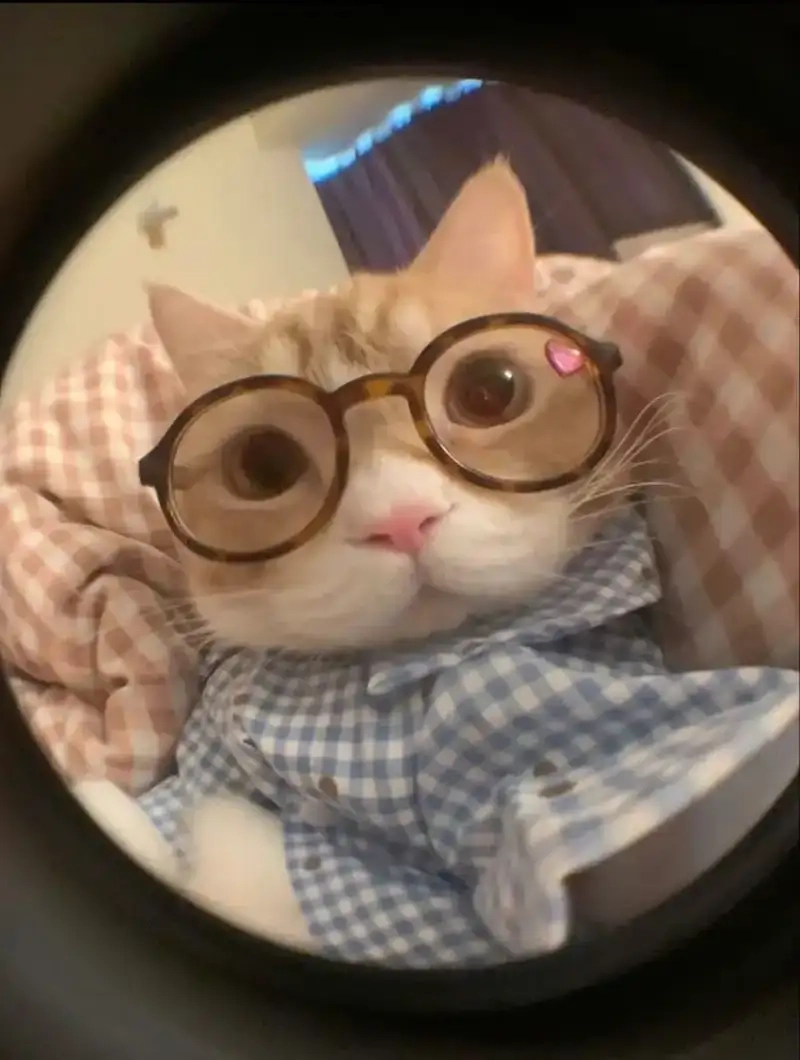 Khám phá meme yêu đời tích cực siêu cute cho bạn
