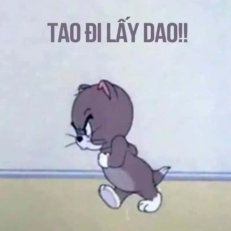 Khoảnh khắc khó đỡ từ meme mèo đánh răng gây sốt