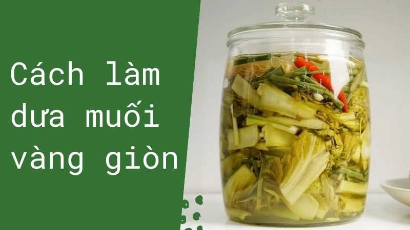 Chọn nguyên liệu tươi ngon – Bí quyết dưa không bị khú, không đắng 
