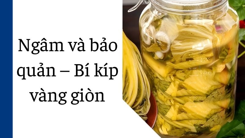 Ngâm và bảo quản – Bí kíp vàng giòn đến ngày thứ 10