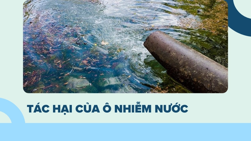 Tác hại của ô nhiễm nước không thể xem nhẹ