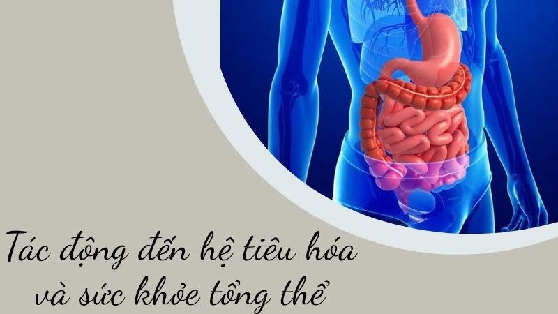 Tác động đến hệ tiêu hóa và sức khỏe tổng thể