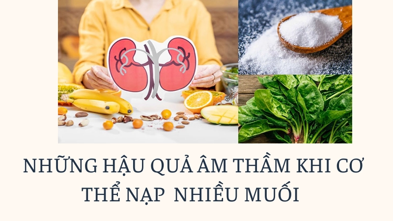 Nguy cơ suy thận và sỏi thận do chế độ ăn thừa muối