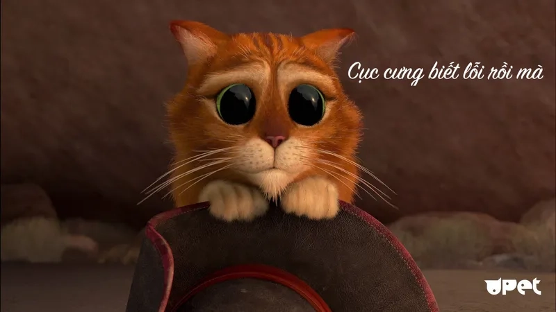 Cách gửi meme xin lỗi chân thành nhất