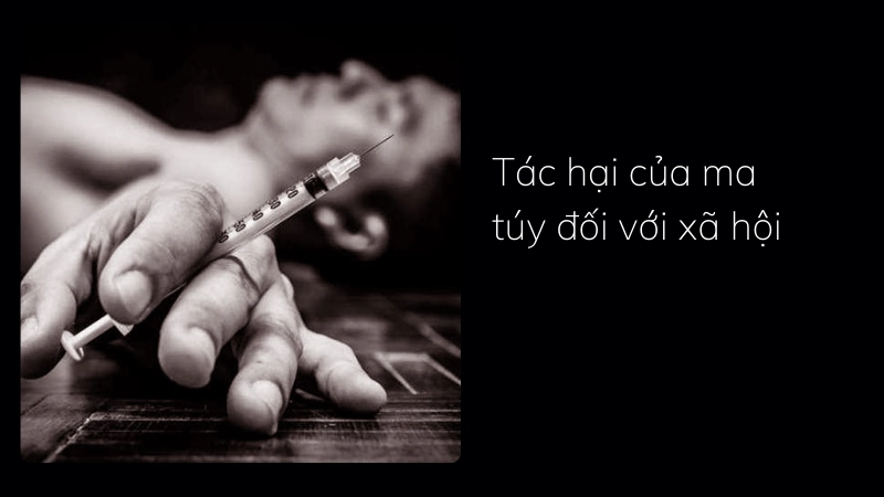 Phân tích tác hại đối với xã hội của tệ nạn ma túy