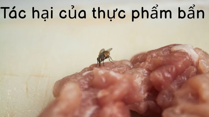 Nỗi lo ngộ độc cấp tính từ thực phẩm bẩn